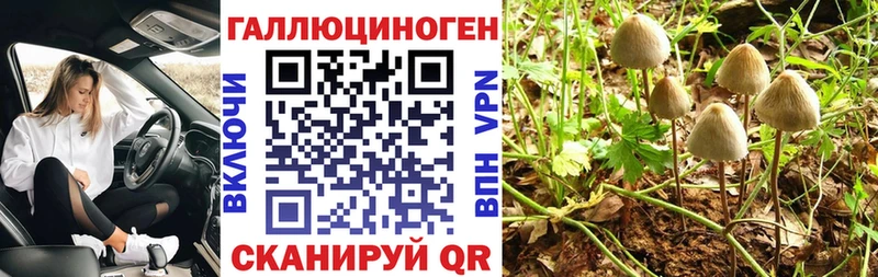 Псилоцибиновые грибы ЛСД  Зубцов 